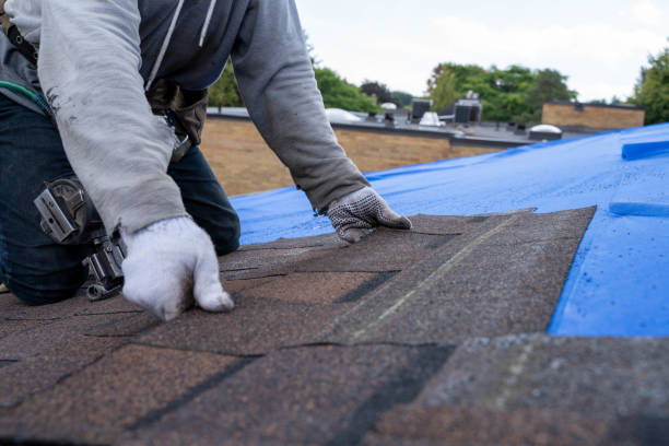 Roof Gutter Cleaning in Hudson Lake, IN