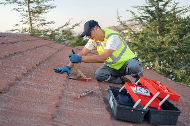 Best Roof Waterproofing Services  in Hudson Lake, IN